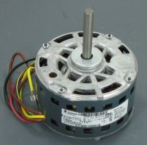 HC31AE232.jpg